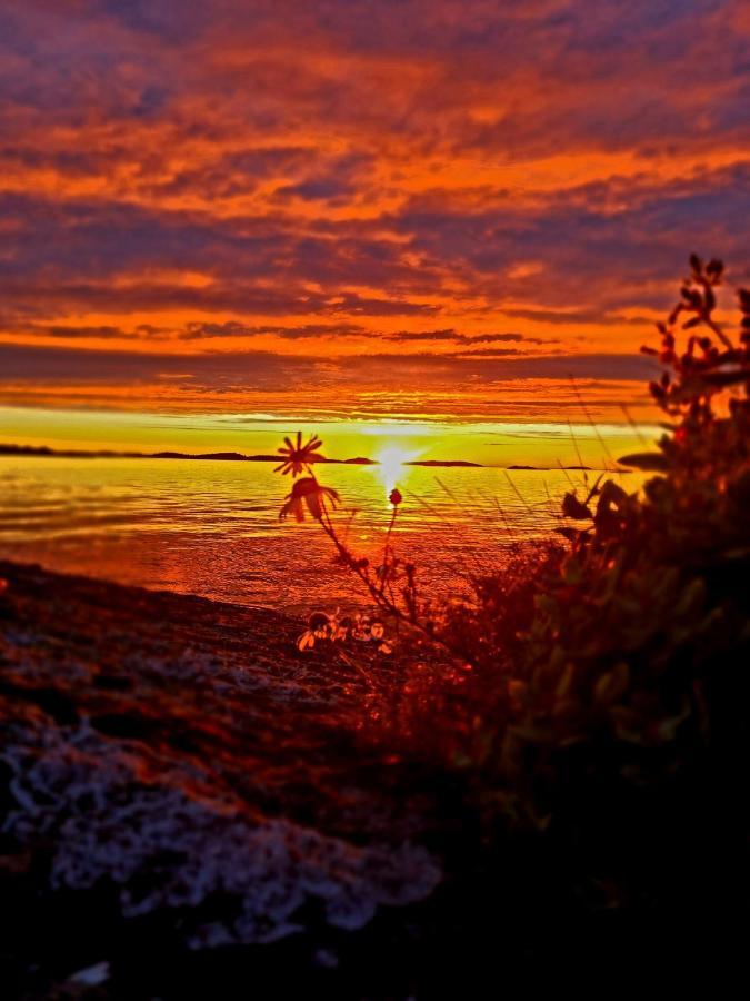 Hotel Laukvik Senja Botnhamn Zewnętrze zdjęcie