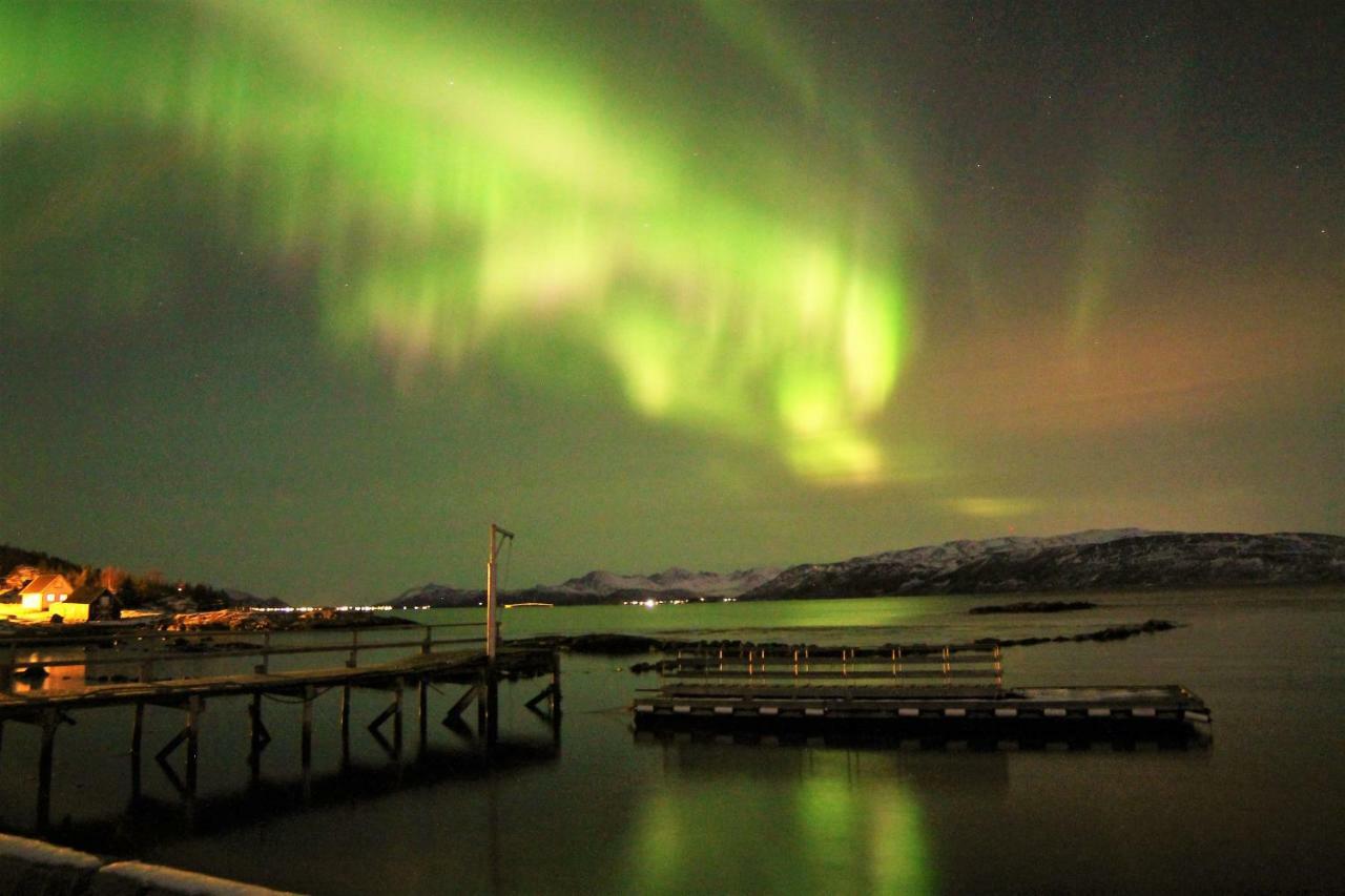 Hotel Laukvik Senja Botnhamn Zewnętrze zdjęcie